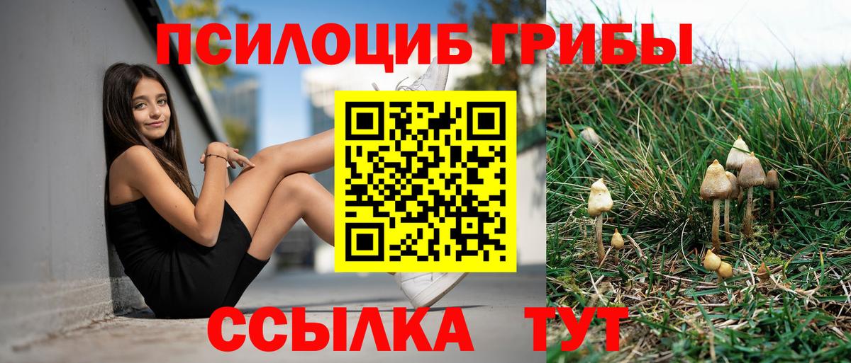 Псилоцибиновые грибы GOLDEN TEACHER  как найти   Скопин  Вход с VPN 