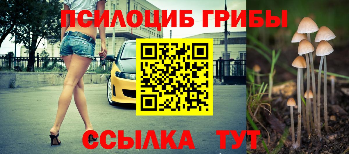 Галлюциногенные грибы прущие грибы Скопин